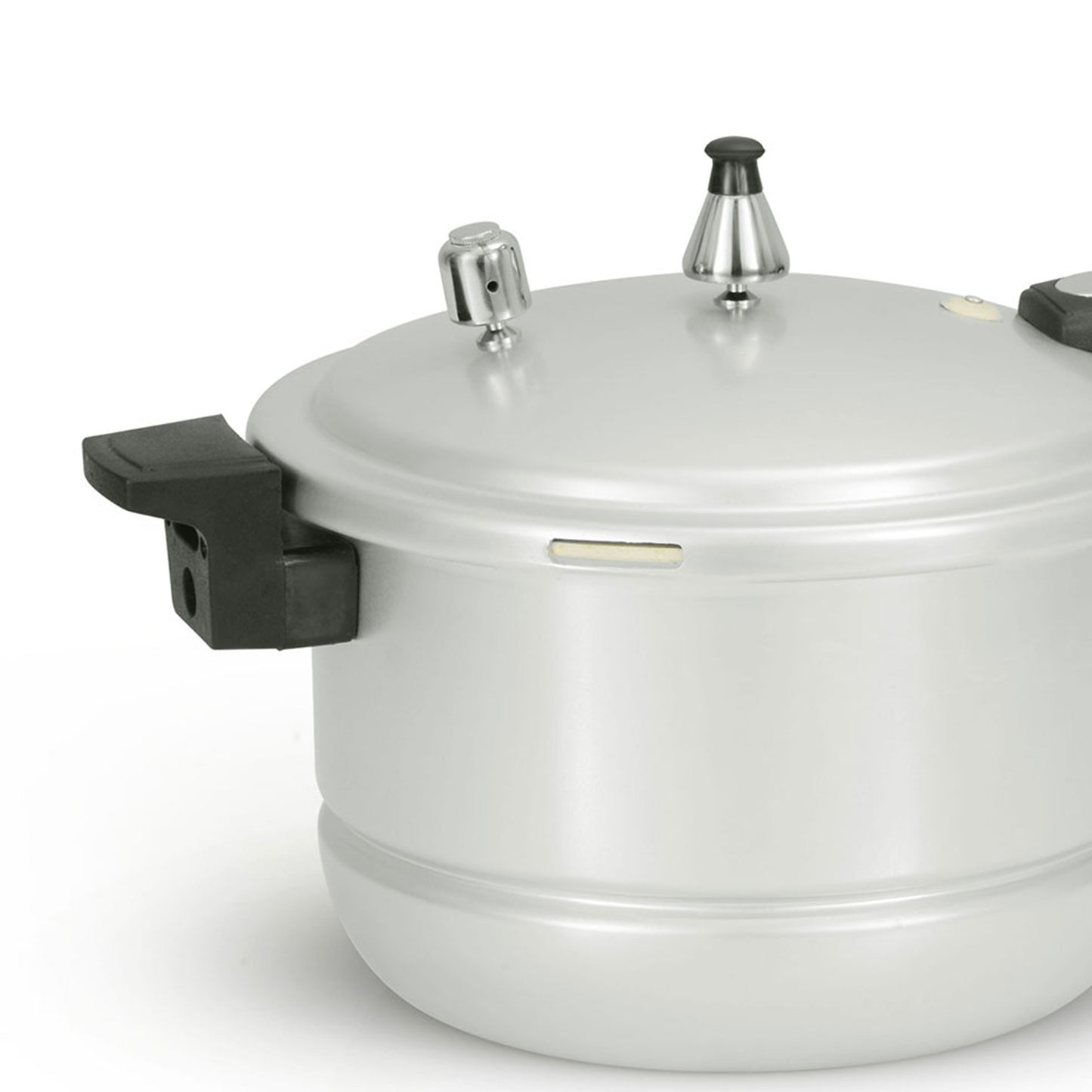 AR Gold 2 in 1 Steamer Pressure Cooker